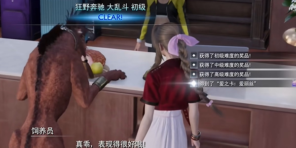最终幻想7重生银制项圈怎么获得